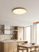 Aske – Nordic Ultra-Thin Wood Ceiling Light BO-HA