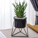 Blenda - Nordic Geometric Rack  BO-HA Black Pot / Black Rack  