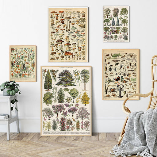 "Lemmikki" Vintage Botanical Prints Canvas Collection  BO-HA   