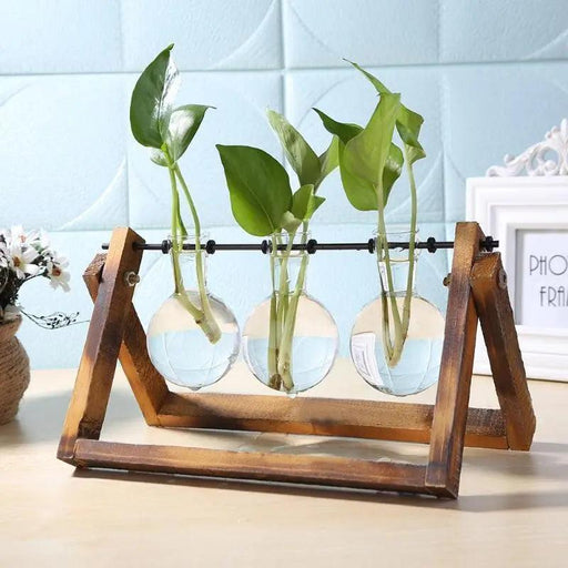 Karine - Glass and Wood Vase  BO-HA   