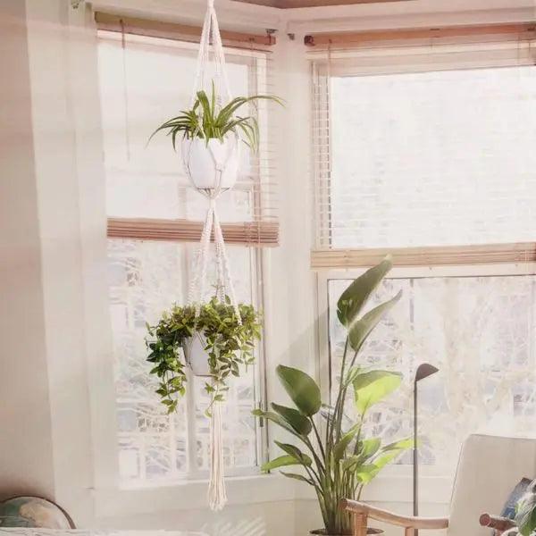Macrame - Plant Hangers  BO-HA   