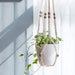Macrame - Plant Hangers  BO-HA   