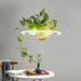 Ragna - Planter Light Table Pendant  BO-HA   